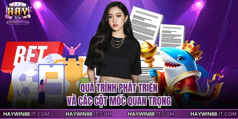 HAYWIN 19 Quá trình phát triển và các cột mốc quan trọng
