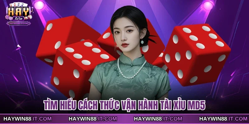 Tài Xỉu MD5 - Công Nghệ Minh Bạch Tại Sân Chơi 2 Tìm hiểu cách thức vận hành tài xỉu MD5