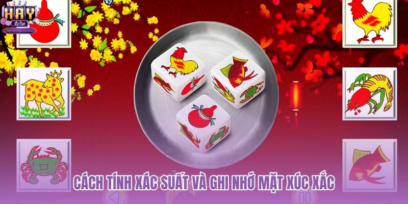 cach-tinh-xac-suat-va-ghi-nho-mat-xuc-xac