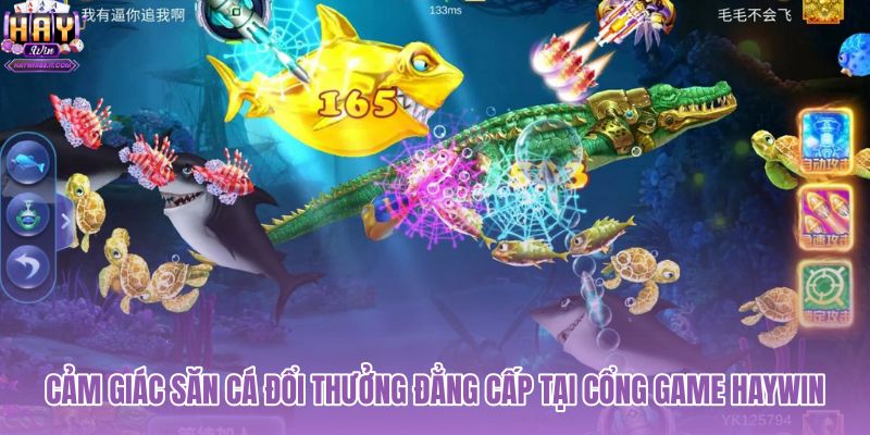 cam-giac-san-ca-doi-thuong-dang-cap-tai-cong-game-haywin cam-giac-san-ca-doi-thuong-dang-cap-tai-cong-game-haywin