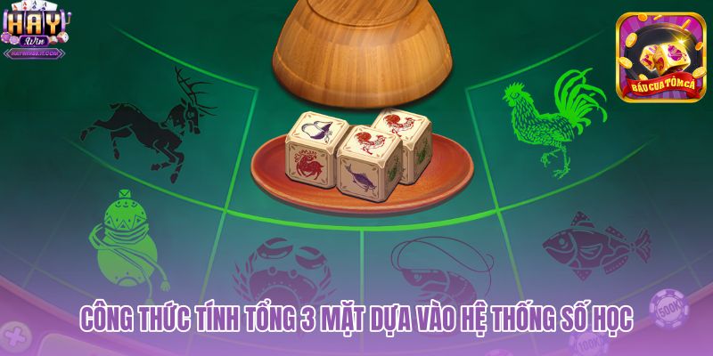 cong-thuc-tinh-tong-3-mat-dua-vao-he-thong-so-hoc