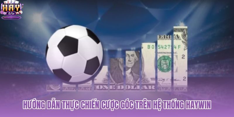 huong-dan-thuc-chien-cuoc-goc-tren-he-thong-haywin huong-dan-thuc-chien-cuoc-goc-tren-he-thong-haywin