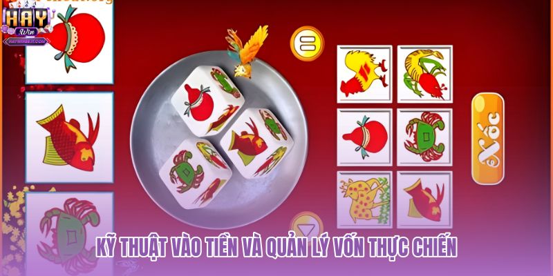 ky-thuat-vao-tien-va-quan-ly-von-thuc-chien