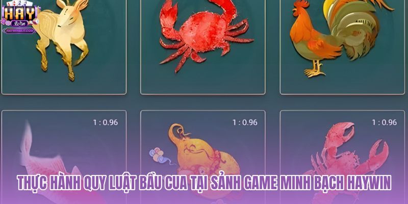thuc-hanh-quy-luat-bau-cua-tai-sanh-game-minh-bach-haywin